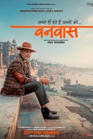 vanvaas 2024 hindi dd51 webdl 1080p 720p 480p